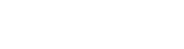 BigSend Logo